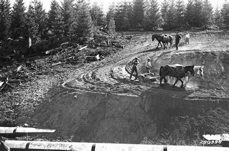 Ccc Crew Using Horse Teams For Road Construction Ford Pinchot