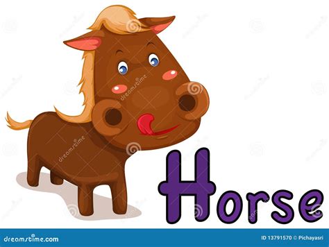Alfabeto Animal H Para El Caballo Ilustración Del Vector Ilustración