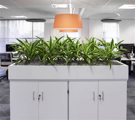 5 Reasons Office Plants Boost Wellbeing G Is For Greenery