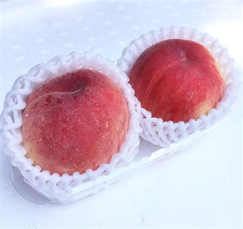 Japanese Chiyohime White Peach Daitouryou Grade — Momobud