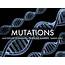 Gene Mutation By Sarahe Still