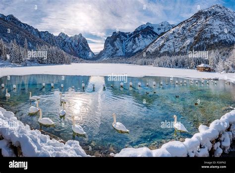 Dobbiacotoblach Province Of Bolzano South Tyrol Italy Winter At