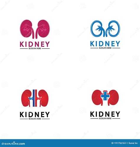 Health And Care Kidney Logo Design Concept Urology Logo Vector