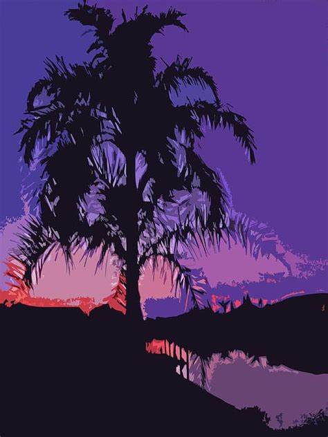 Palm Sunset By Aimee L Maher America Art Sunset Fine Art