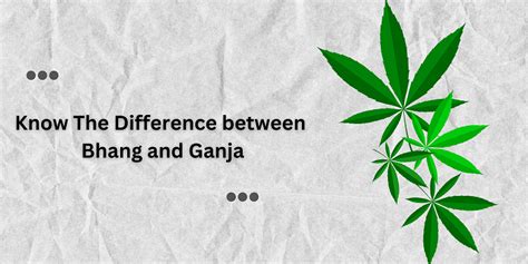 Bhang Vs Ganja Differences Effects And Health Impacts The Trost
