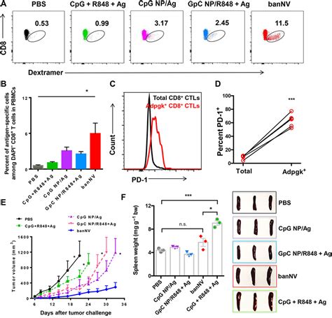 A Bi Adjuvant Nanovaccine That Potentiates Immunogenicity Of Neoantigen