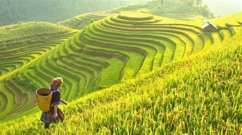 23 Best Places In Asia To Holiday Images Backpacker News