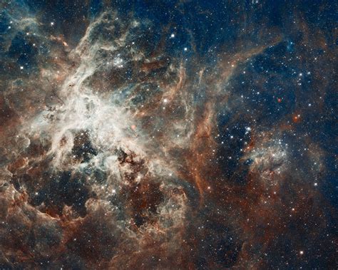 Amazing Hubble Telescope Picture Reveals Tarantula Nebulas Star Filled