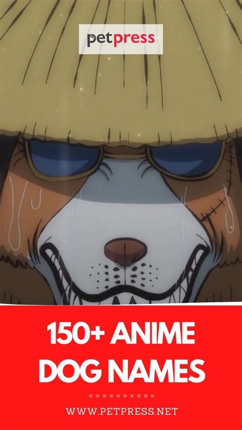Top 150 Trendy Anime Dog Names Petpress