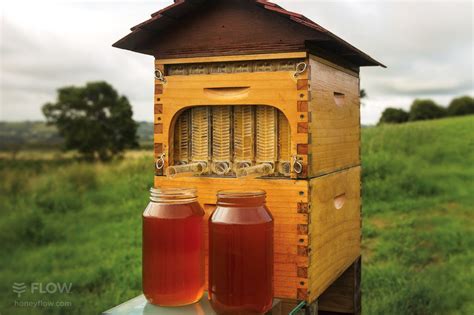 Celui d'apiculteur.pour tout savoir sur les abeilles, comment les trouver, comment récolter du miel, comment gérer les ruches ou faire reproduire ses abeilles, c'est par ici. Flow Hive - Le Robinet à Miel depuis Votre Ruche http://fr.belzino.com/d9d44 #flowhive #miel # ...