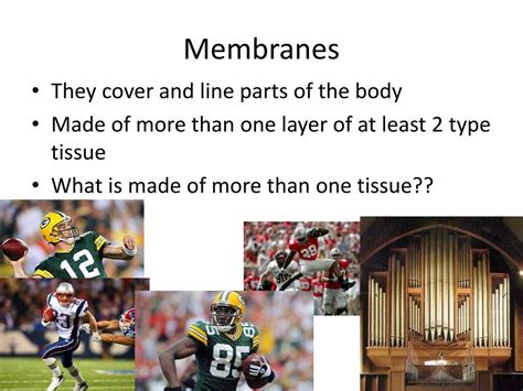 Ppt Three General Membranes Powerpoint Presentation Free Download