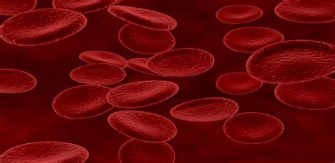 Increase Red Blood Cells Rbc Count How To Increase Quickly Max Lab