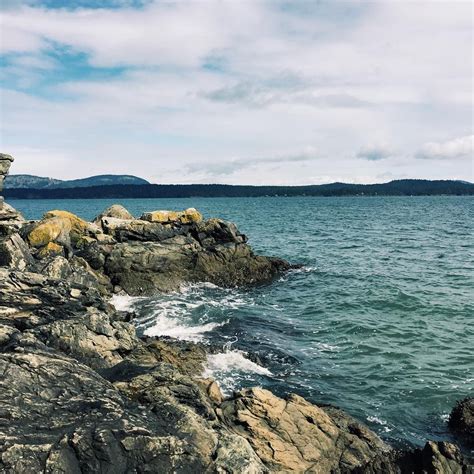 Salt Spring Island Beddis Beach British Columbia Canada