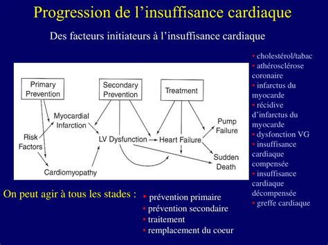 Ppt Insuffisance Cardiaque 13 Powerpoint Presentation Id526587