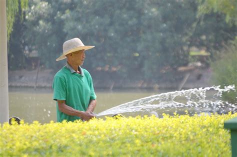 Man Watering Free Stock Photo Public Domain Pictures