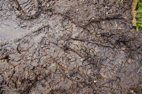 Rubber mats are a quick and easy fix to muddy backyard trail. Ground Cover For Muddy Areas - Budapestsightseeing.org