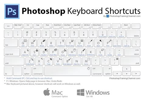 Must Know Photoshop Keyboard Shortcuts That Will Help You Speed Up Your