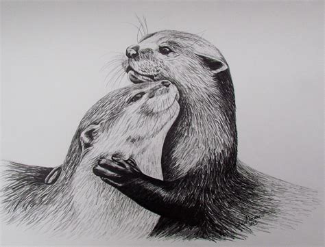 Otter Cute Drawing Sketches For Adult Sketch Art Drawing