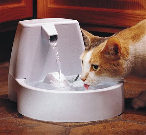 Cat Water Fountain Pets At Home Fountain Design Ideas