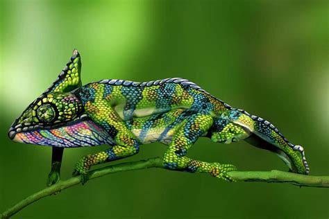 This Chameleon Is Actually Two Body Painted Women