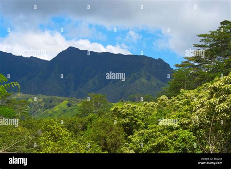 Mount Waialeale And Kawaikini Peak From The Kuilau Ridge Trail Kauai Hi