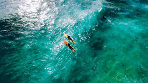 배경 화면 바다 수중 스노클링 서핑 수영 다이빙 대양 웨이브 2048x1152 Px 바람 파도 해양 생물학