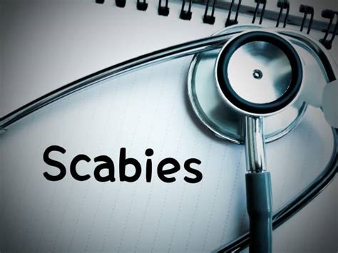 200 Scabies Rash Stock Photos Pictures And Royalty Free Images Istock