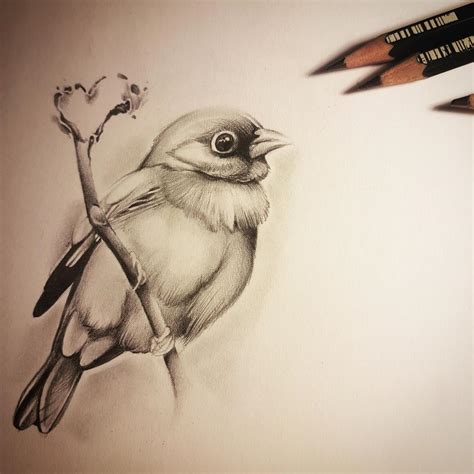 60 Best Bird Drawing Idea Tutorials How To Draw Bird Harunmudak