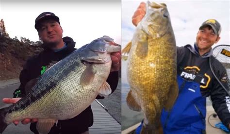 Video 3 Of The Largest Bass Ever Caught On Film Outdoorhub