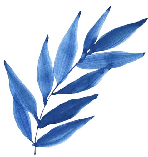 Freetoeditplants Blueplants Watercolor Bluewatercolor Remixit