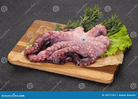 Raw Octopus Ready For Cooking Stock Image Image Of Cooked Marine
