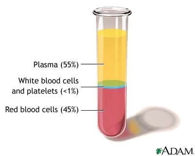 Komponen terbesar plasma darah adalah air yaitu seitar 90%. Romansa Senja: SISTEM PEREDARAN DARAH