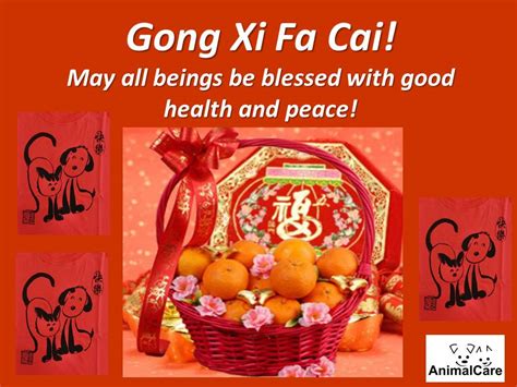 Come chinese new year in malaysia, you will see greetings splashed all over the place. Gong Xi Fa Cai!! | AnimalCare | PetFinder.my WAGazine