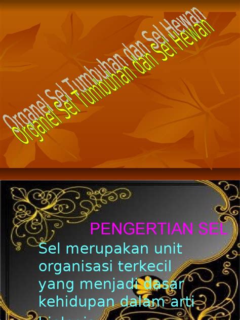 You can do the exercises online or download the worksheet as pdf. Organel Sel Tumbuhan Dan Hewan