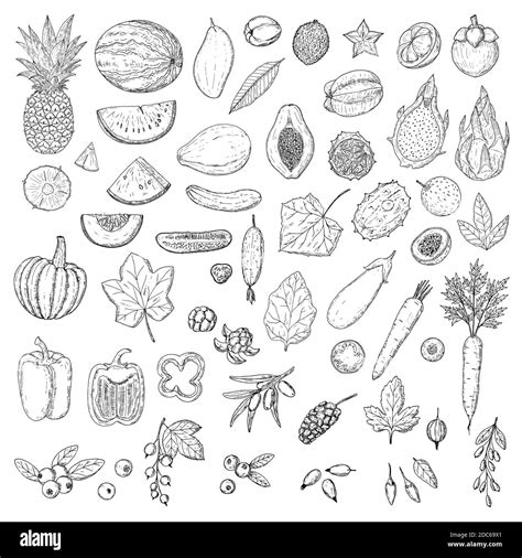 Conjunto De Frutas Verduras Y Bayas Objetos Aislados Sobre Blanco