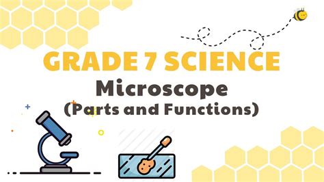 Download Microscope Parts And Functions Grade 7 Science Deped Melc