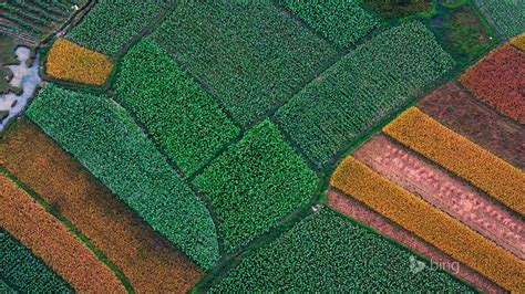 Aerial View Of Farm 2015 Bing Theme Wallpaper Preview