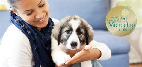 Enter the microchip id below and click search. Microchip Search | AAHA Universal Pet Microchip Lookup