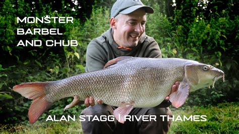 monster barbel and chub alan stagg river thames youtube