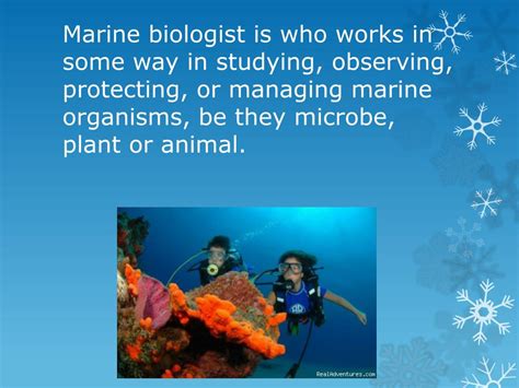 Ppt Marine Biologist Powerpoint Presentation Free Download Id2829011