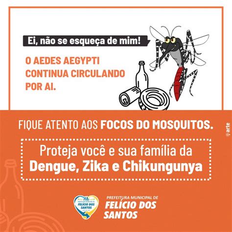 Combate A Dengue Portal Oficial Da Prefeitura De Felício Dos Santos