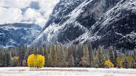 Explore and download tons of high quality 8k wallpapers all for free! Winter In Tuolumne Meadows, California, United States UHD ...