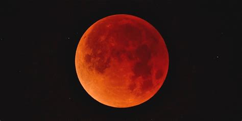 Contact wolf & moon on messenger. 'Super blood wolf moon' is coming: What to know about the ...