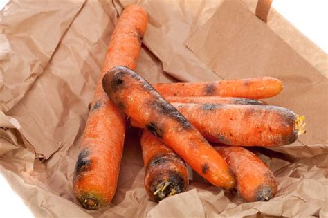 How To Tell If Carrots Have Gone Bad Leaftv