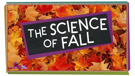 The Science Of Fall Compilation Scishow Kids Youtube Trending