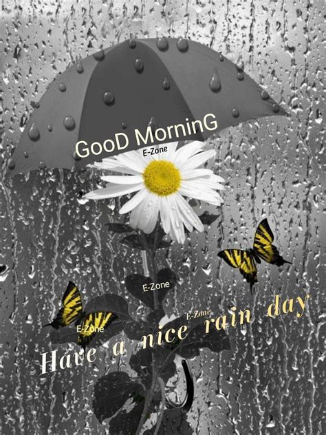 Astonishing Compilation Of Rainy Good Morning Images Full K