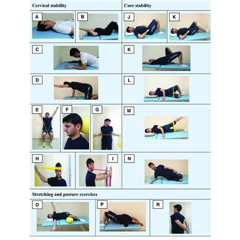 Pdf Cervical Stability Training With And Without Core Stability