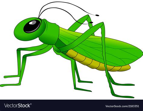 Cartoon Grasshopper Royalty Free Vector Image Vectorstock