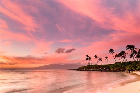 10 Ways To Explore Hawaii Virtually
