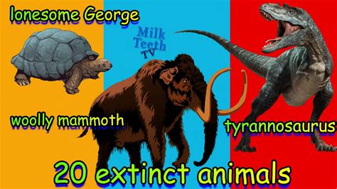 Download Top 20 Extinct Animals